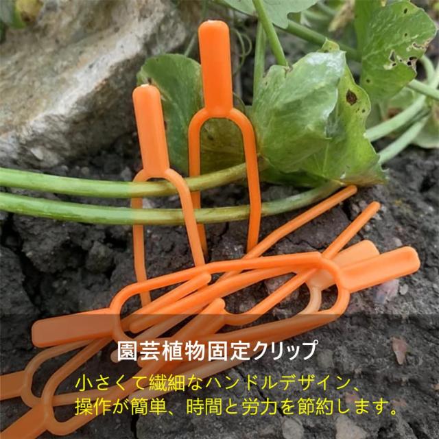 植物サポート 園芸クリップ 固定フォーク 100Pcs イチゴフォーク