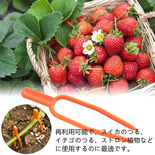 植物サポート 園芸クリップ 固定フォーク 100Pcs イチゴフォーク