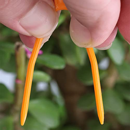 植物サポート 園芸クリップ 固定フォーク 100Pcs イチゴフォーク