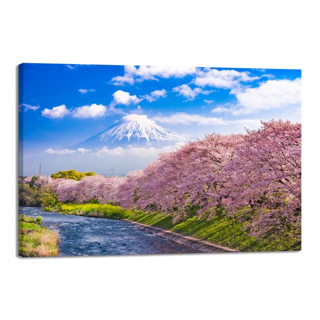 アートパネル 富士山 桜花 ポスター 絵 自然 絵画 インテリア