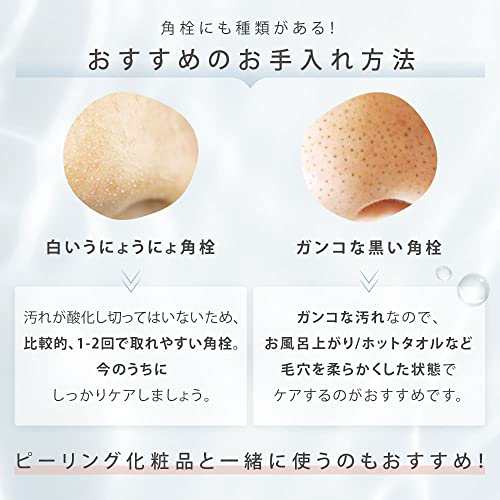 SALONIA サロニア | 毛穴洗浄機 毛穴洗浄器 アクアピーリングデバイス 毛穴吸引 角栓 鼻 黒ずみ 水流式 SAL22204SL｜au PAY  マーケット