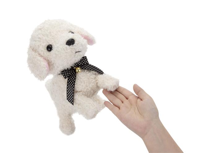 ココ さかだちして！もっとなかよしセット　クリーム　新品未使用品 ココ さかだちして！もっとなかよしセット クリーム 新品未使用品