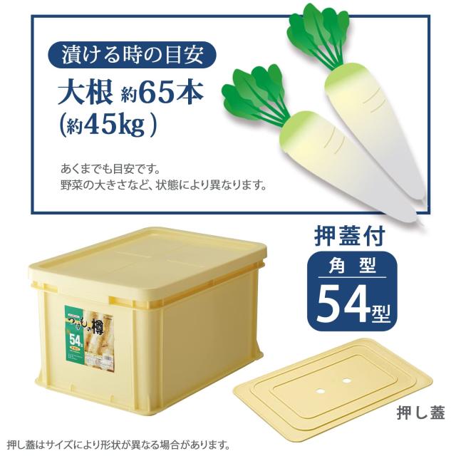 リス つけもの樽角54型 日本製 171737 アイボリー_3