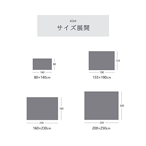 イケヒコ ラグ カーペット マット インポート 長方形 絨毯 トレラ ベージュ 約80×140cm 抗菌防臭効果 消臭効果 丈夫 へたりにくい  ウィ｜au PAY マーケット