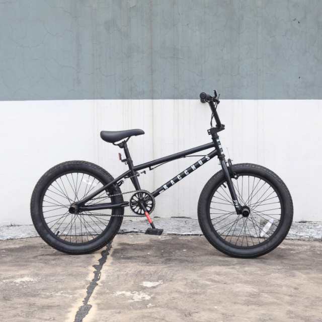AVASTA Bacchus BMX自転車 20インチ フリースタイルBMXバイク