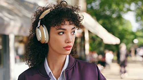 バウワースアンドウィルキンス Bowers ＆ Wilkins フラッグシップ