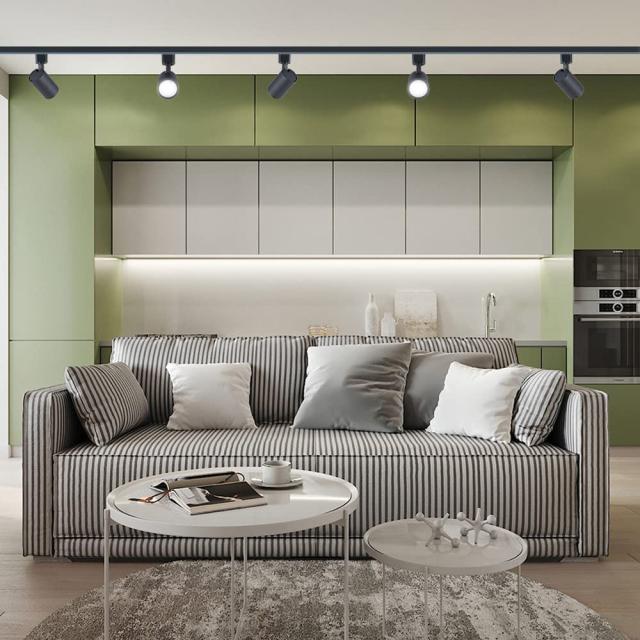 ライティングレール用スポットライト昼白色100W相当 消費電力10W 大光量1000LM,照射角度調節可能 一般家庭照明/演出照明/商業施設/店舗・