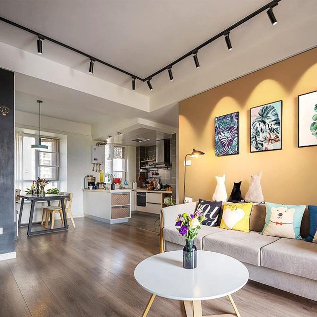 ライティングレール用スポットライト昼白色100W相当 消費電力10W 大光量1000LM,照射角度調節可能 一般家庭照明/演出照明/商業施設/店舗・