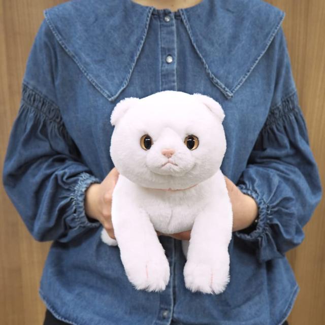 ふらんすねこ　0507 すみっコぐらし ねこねこハロウィン ぬいぐるみXL プレミアム