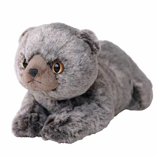 Amazon.co.jp: サンレモン ひざ ねこ スコティッシュフォールド