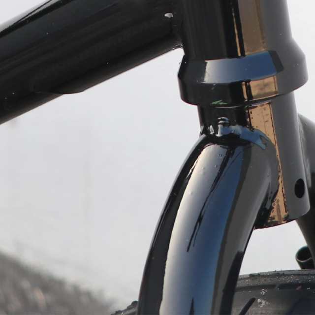 Bacchus BMX 自転車 20インチ フリースタイルBMXバイク スチール