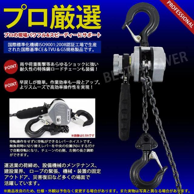 ベストアンサー レバーホイスト 0.25t VM 4台 レバホ 250kg 0.25トン 軽量化 小型化 チェーンローラー 高品質 チェーンブロック 荷締機_2