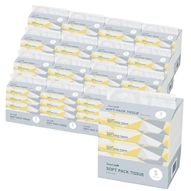 【20個セット】アイリスプラザ ティッシュペーパー 300枚(150組)×100パック スマートエール ティッシュ 日本製 蛍光染料 不使用 パルプ