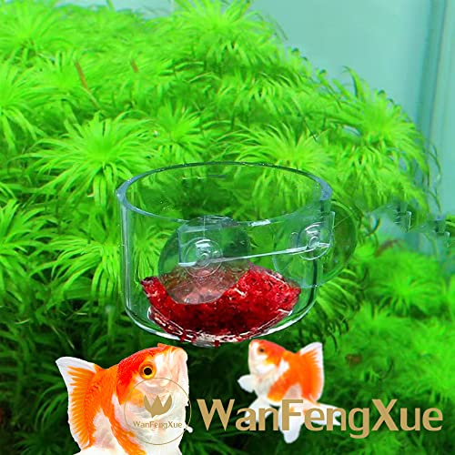 4個 水槽用 フィーダーカップ 給餌器 アクリル 自動給餌器 赤虫 餌入れ