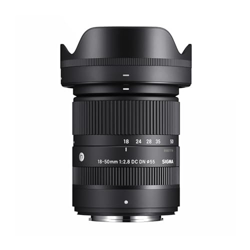 中古品】Leica デジタルカメラ ライカD-LUX4 1010万画素 光学2.5 中古品】Leica デジタルカメラ ライカD-LUX4 1010万画素 光学2.5
