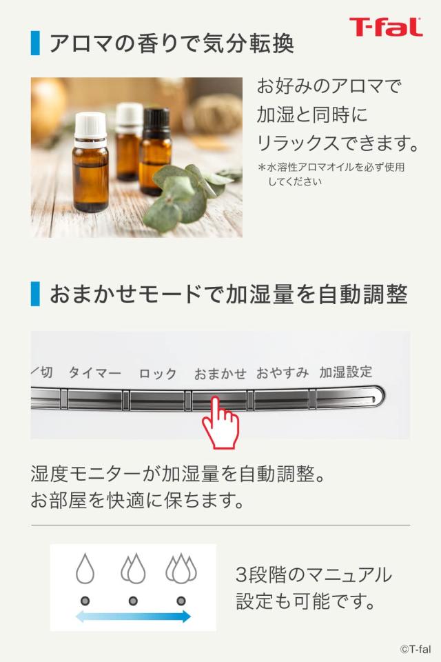 ティファール 加湿器 4L 暖める超音波式加湿器 水蒸気 アンド 霞 お取りつくろう飾り気の無い 白いこと 固定ディスク3040J0