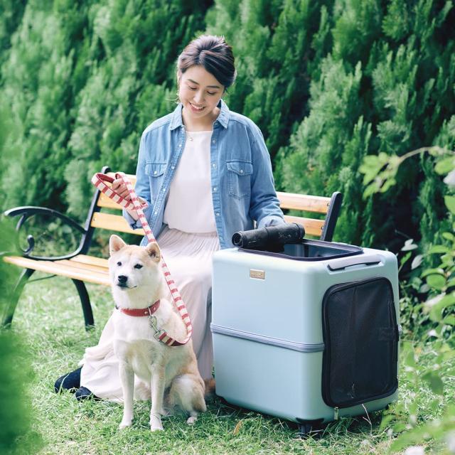 ペチコ（PETiCO） ペットキャリー iCO 3001‐L ピンクベージュ