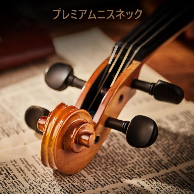 Eastarバイオリン 4/4 単板 ソリッド バイオリンセット 弓2本 初心者に