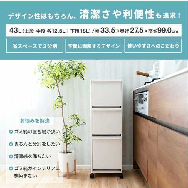 アスベル フタ付きゴミ箱 ECワゴンワイド3段 省スペース 43L 黒 小物