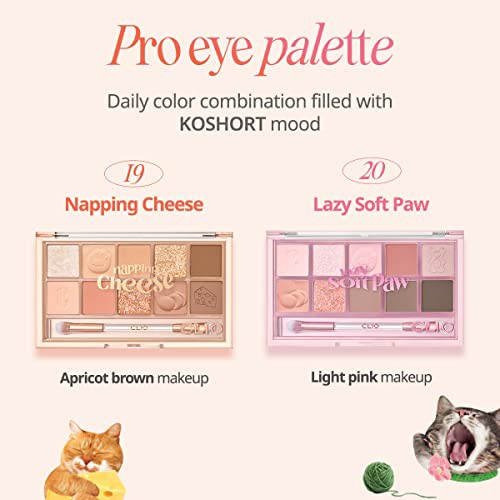 CLIO PRO EYE PALETTE クリオ プロアイパレット (#20 LAZY SOFT PAW)の