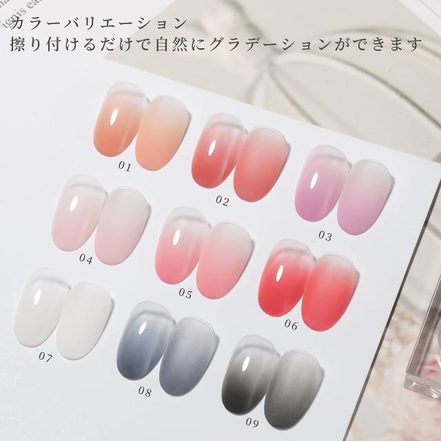 Coikaze グラデーション ネイル パウダー 9色 パレット ネイル