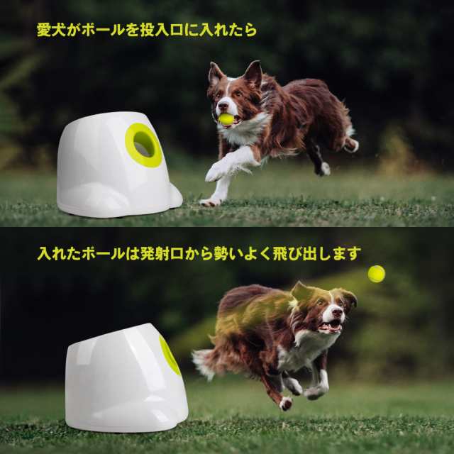 All For Paws 犬 ボールランチャー おもちゃ 自動 ボール投げ 犬用 