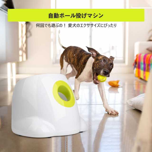 All For Paws 犬 ボールランチャー おもちゃ 自動 ボール投げ 犬用 ロボピッチャ 発射距離3段階調整可能 自動ボールキャッチ  専用のミニの通販はau PAY マーケット - famille | au PAY マーケット－通販サイト