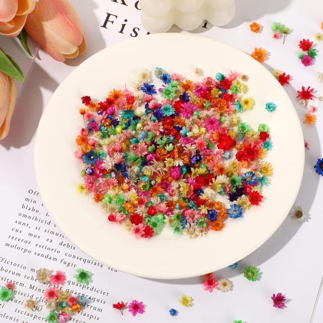 Neiang ドライフラワー レジン用 400個入り 押し花 乾燥シート レジン