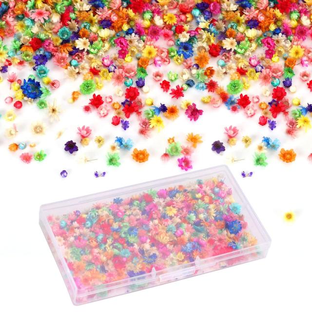 Neiang ドライフラワー レジン用 400個入り 押し花 乾燥シート レジン