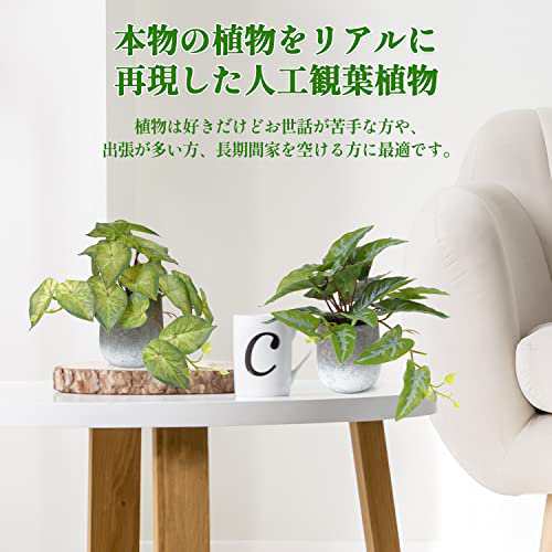 XiaZ フェイクグリーン 3点セット 卓上 人工観葉植物 ミニ インテリア ...