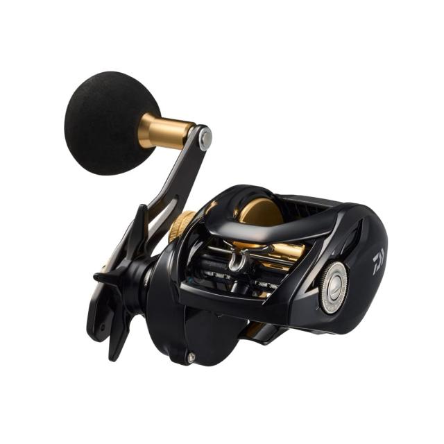 ダイワ(DAIWA) カゴ遠投用両軸リール シーホーク TW 遠投