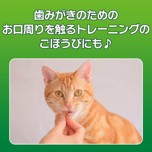 猫の歯磨きおやつセット】 ペットキッス (PETKISS) LIONネコちゃんの