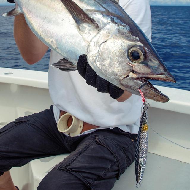 オフショアルアー セット ルアー - オフショアルアー | 釣り具専門店のヴァンガード