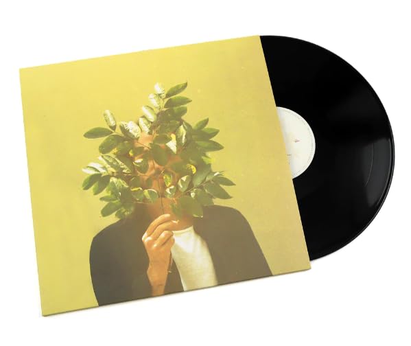 FRENCH KIWI JUICE (2LP) / FKJ Analog 5,188円