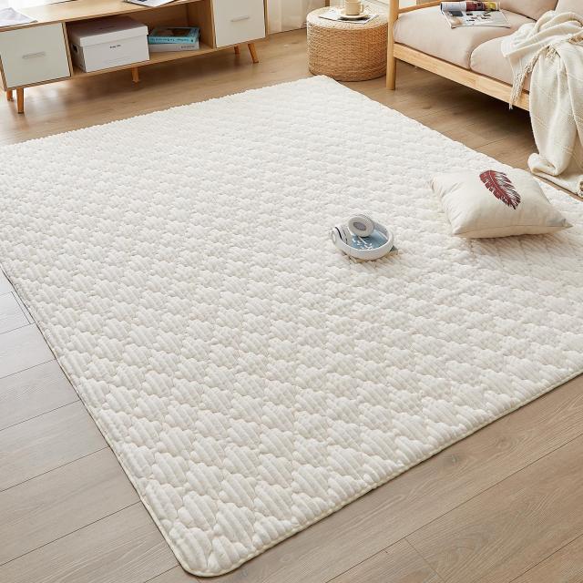 CHOSHOME カーペット ラグ 極厚25mm ラグマット 3畳 絨毯 低反発 厚手 ラグ 滑り止め 防音 ふわっと手触り 撥水加工 冬用 北欧 洗える ホ