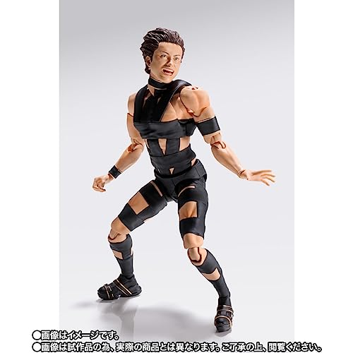 S.H.Figuarts T.M.Revolution 西川貴教 フィギュア