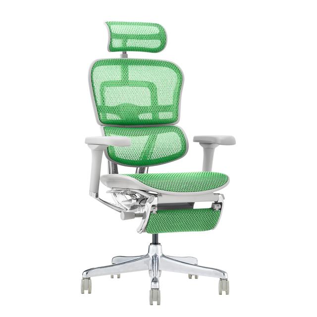 エルゴヒューマン プロ オフ ィスチェア グリーン ヘッドレスト付き エラストメ : エルゴヒューマン2(Ergohuman2) オフィスチェア