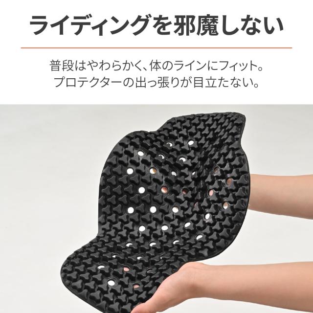 けい！ デイトナ(Daytona) SAS-TEC(サステック) バイク用 プロテクター 背中