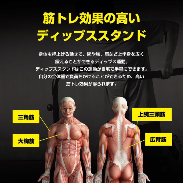 ネット限定】 アルインコ(ALINCO) ディップススタンド 2WAY(ハイ/ロー