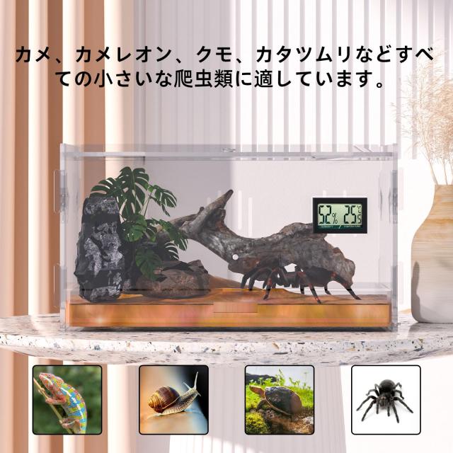 給餌ケージ ボックス 爬虫類テラリウムタンク 爬虫類飼育ケージ 爬虫類用 楽天市場】トカゲ ケージ 爬虫類 ケージ 爬虫類 飼育ケース 温度