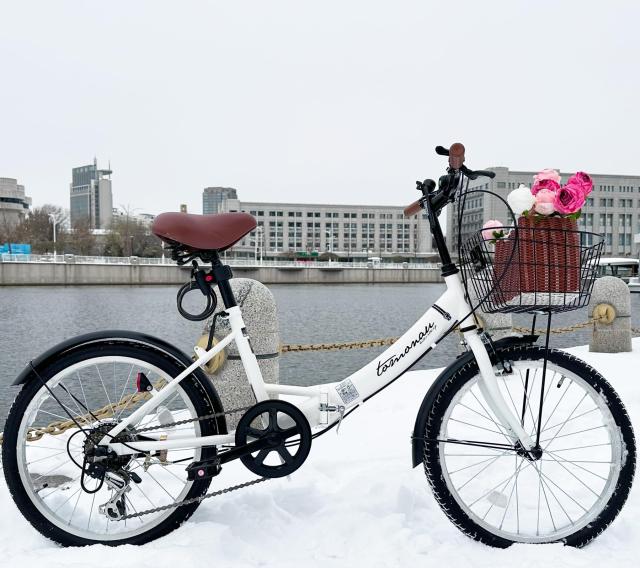 TOMONAU 折り畳み自転車 20インチ 折りたたみ自転車 6段変速