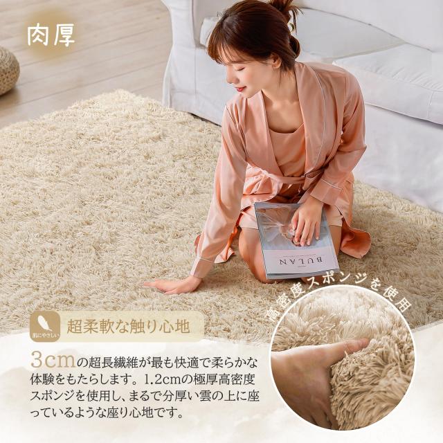 Beddiny カーペット ラグ ホットカーペット【中層:30D高密度ウレタン 厚さ約1.2cm 独自技術とデザインの抗菌防臭加工】 ラグマット シャ_2
