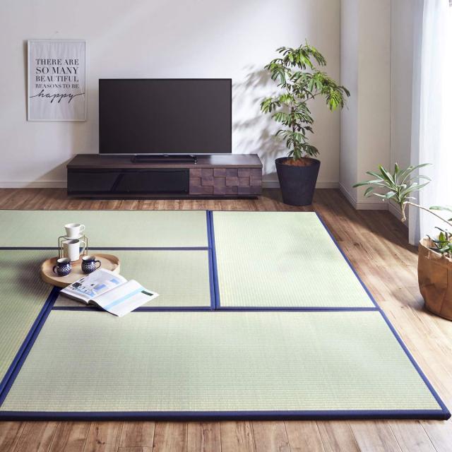 EMP サンセベリア ブアカーオ / SA391