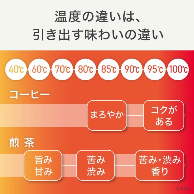 ティファール 電気ケトル 1.5L ガラス製 温度調節 転倒お湯もれロック テイエール ロック コントロール フルーツティー 緑茶 保温 ブ