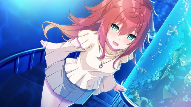 HOOKSOFT5作品セット -Switchの通販はau PAY マーケット - MRNs SHOP