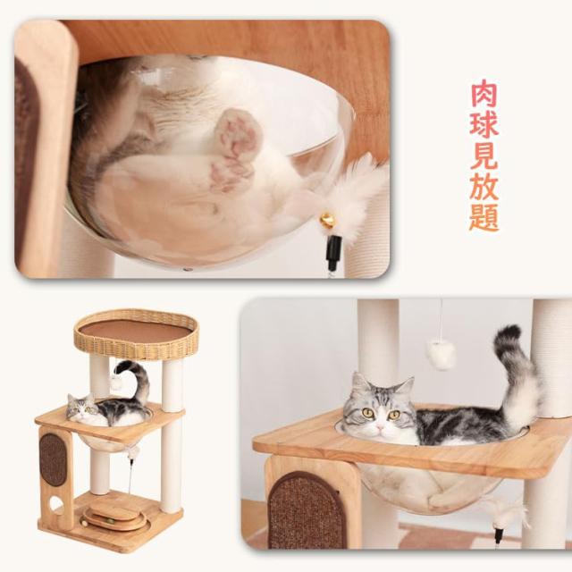 LULUCAT 【コンパクトで多機能】 キャットタワー 木製 据え置き 宇宙船 省スペース 高さ81cm 回転ボール スリム コーナー 天然木 おしゃ_6