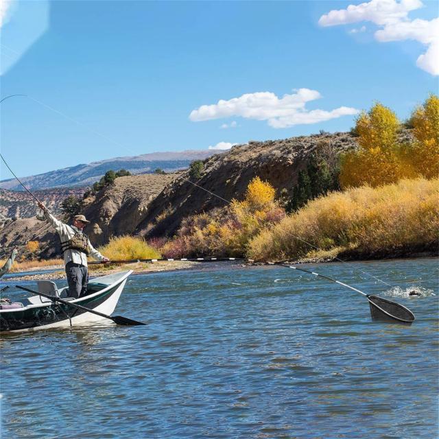 サンライク(SANLIKE) タモの柄 玉の柄 たもの柄 9段階 カーボンポール たものえ ランディングポール 競技 伸縮式 コンパクト 全魚種対の通販は サンライク(SANLIKE) タモの柄 玉の柄 たもの柄 9段階 カーボンポール たものえ ランディングポール 競技 伸縮式 コンパクト 全魚種対の通販は