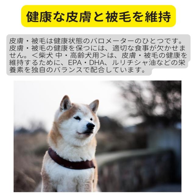 ロイヤルカナン 中・高齢犬用(8歳以上) 柴犬 ドライフード BHN 犬 健やかな中・高齢期のサポート 健康な皮膚と被毛を維持 オリジナル_2