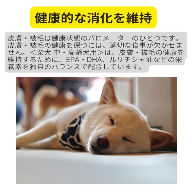ロイヤルカナン 中・高齢犬用(8歳以上) 柴犬 ドライフード BHN 犬 健やかな中・高齢期のサポート 健康な皮膚と被毛を維持 オリジナル_3