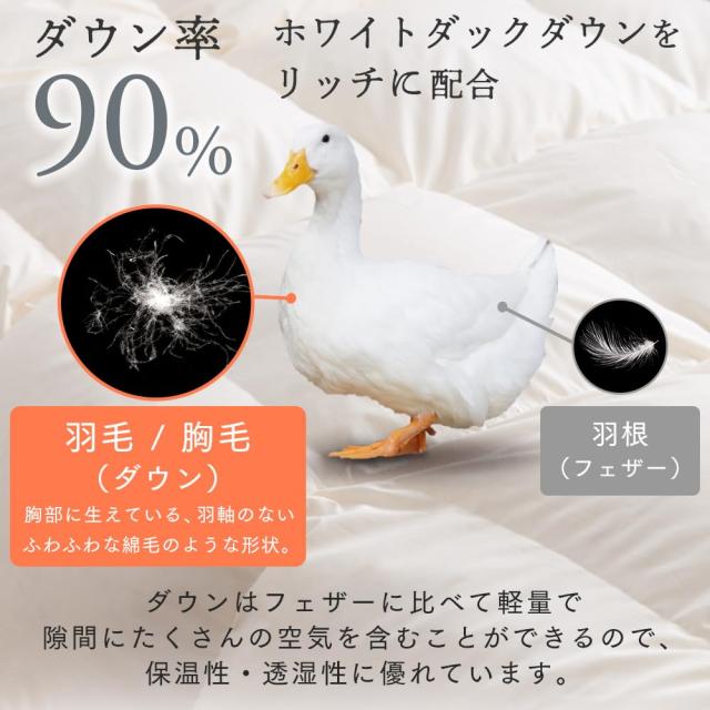 アイリスプラザ 羽毛布団 セミダブル ホワイトダックダウン90% 充填量1kg 日本製 4つ星 CILシルバーラベル ボリュームたっぷり アレルゲ_3